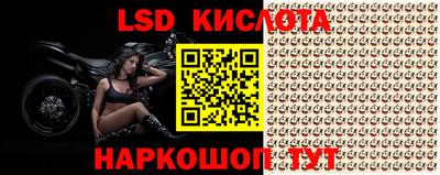 винт Славгород
