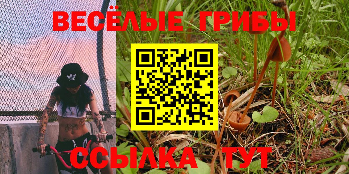 Псилоцибиновые грибы GOLDEN TEACHER Междуреченск