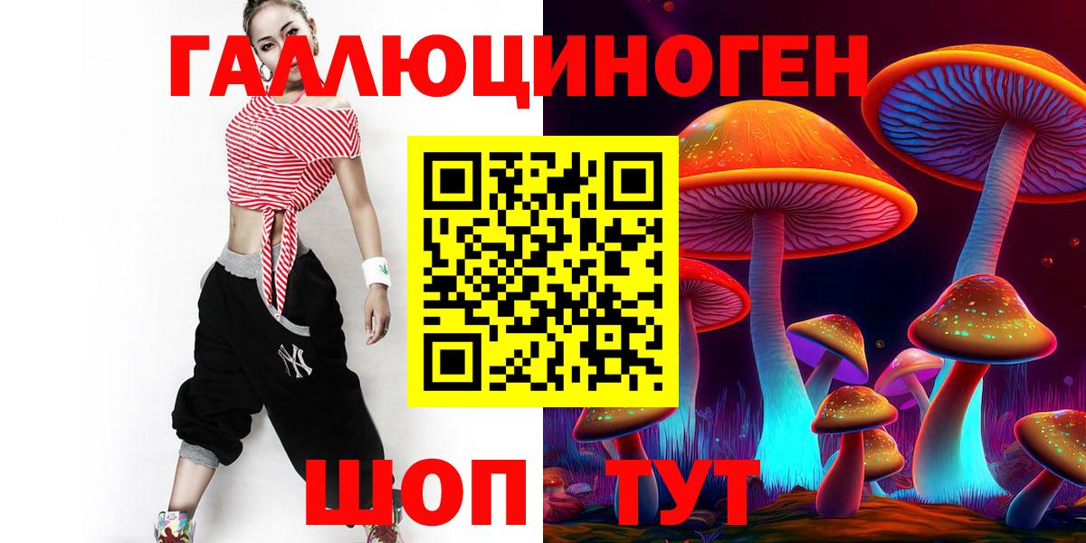 Междуреченск  Псилоцибиновые грибы Psilocybe  Вход с VPN 